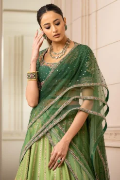 Tarun Tahiliani Printed Ombre Lehenga Set With Threadwork -Cheap Wovencia Store 153ttbdr5 3