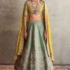 Jayanti Reddy Mint Green Zardosi Embellished Lehenga Set