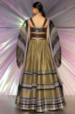 Amit Aggarwal Olive Lehenga With Moulded Blouse & Plisse Drape -Cheap Wovencia Store 294aasc9 3