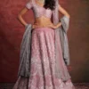 Jayanti Reddy Blush Pink Zardosi Embroidered Lehenga Set