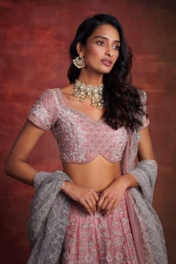 Jayanti Reddy Blush Pink Zardosi Embroidered Lehenga Set -Cheap Wovencia Store 512jr5 6