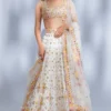 Gopi Vaid Maya Hand Embellished Lehenga Set