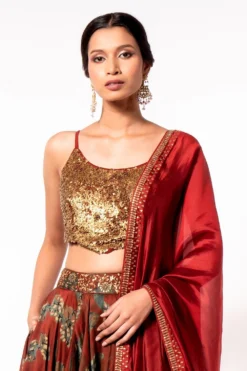 Punit Balana Brick Red Printed Lehenga Set -Cheap Wovencia Store 57pb1 4 1