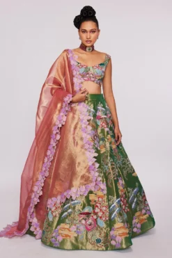 Aisha Rao Green Tissue Appliqued & Embellished Lehenga Set