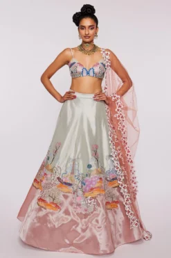 Aisha Rao Ivory & Peach Appliqued Lehenga Set