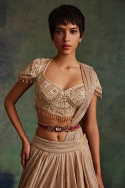 Tarun Tahiliani Accessories Wine & Gold Embellished Belt