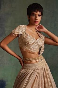 Tarun Tahiliani Accessories Antique Ivory Embellished Belt