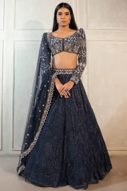 Ritika Mirchandani Navy Blue Hand Embroidered Lehenga Set
