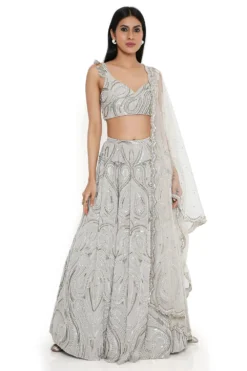 Payal Singhal Grey Embroidered Choli And Lehenga Set