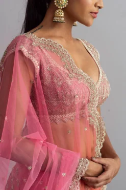 Anushree Reddy Blush Pink Embroidered Organza Lehenga Set -Cheap Wovencia Store ar007 4