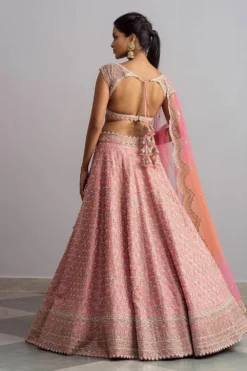 Anushree Reddy Blush Pink Embroidered Organza Lehenga Set -Cheap Wovencia Store ar007 6