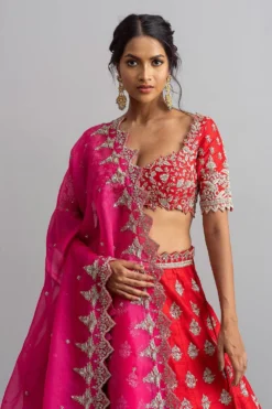 Anushree Reddy Red Raw Silk Zardosi Lehenga Set -Cheap Wovencia Store ar026 3 1