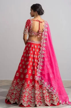 Anushree Reddy Red Raw Silk Zardosi Lehenga Set -Cheap Wovencia Store ar026 7 1