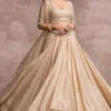 Tarun Tahiliani Gold Kalidar Lehenga Set
