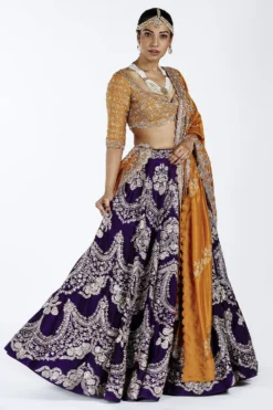 Jayanti Reddy Lehenga Set With Intricate Embroidery -Cheap Wovencia Store jaynr1 2