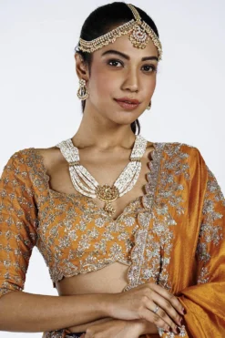 Jayanti Reddy Lehenga Set With Intricate Embroidery -Cheap Wovencia Store jaynr1 4