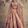 Jayanti Reddy Peach Embroidered Lehenga Set