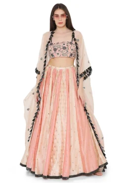 Payal Singhal Coral Embroidered Lehenga Set With A Net Cape