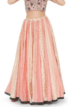 Payal Singhal Coral Embroidered Lehenga Set With A Net Cape -Cheap Wovencia Store ps lh0040 5