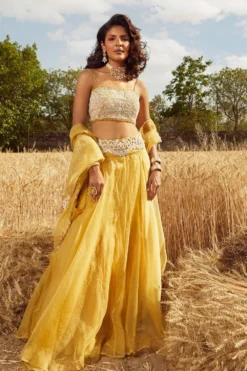 Ridhima Bhasin Mustard Embroidered Lehenga Set