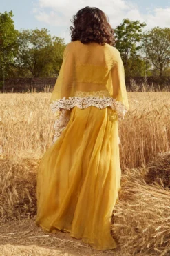 Ridhima Bhasin Mustard Embroidered Lehenga Set 5 Ridhima Bhasin Mustard Embroidered Lehenga Set -Cheap Wovencia Store rbss21 16 3